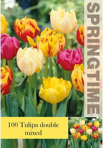 Tulpen Dubbel Mix - Tulipa Grootverpakking (XL)