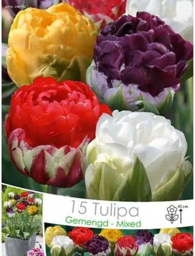 Tulpen Ice Cream Mix - Tulipa
