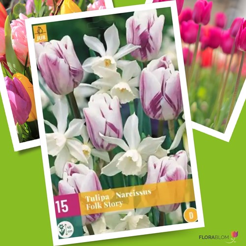 Tulpen & Narcissen Mix Folk Story - Tulipa, Narcissus