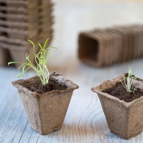Biologisch afbreekbare houtvezel kweekpotjes vierkant – 15 stuks (5x5x5 cm)