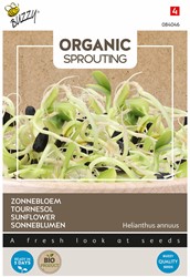 Organic Sprouting Zonnebloem BIO – Helianthus annus