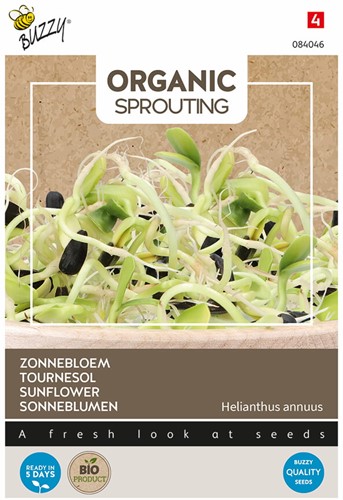 Organic Sprouting Zonnebloem BIO – Helianthus annus