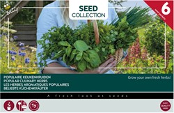 Collectie 6 Populaire Keukenkruiden - Buzzy Collection
