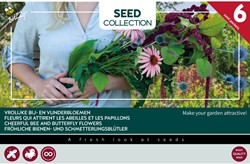 Collectie 6 soorten vrolijke bij- en vlinderbloemen – Buzzy Collection