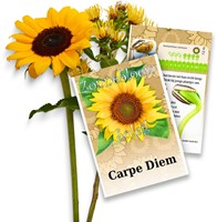 Zonnebloem zakjes persoonlijk bedrukt - 1.000 stuks