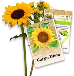 Zonnebloem zakjes persoonlijk bedrukt - 50 stuks